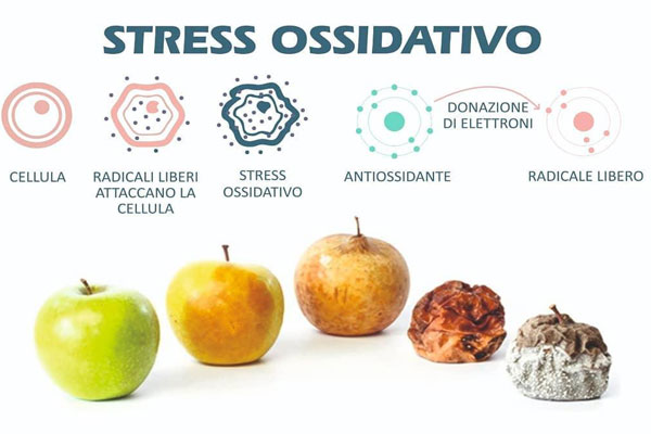 Stress ossidativo Stress ossidativo